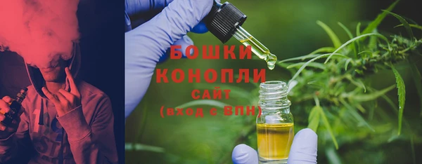 эйфоретик Майский