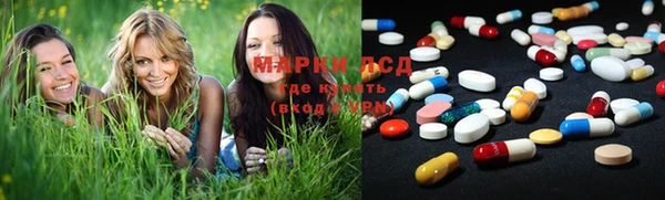 ECSTASY Магас
