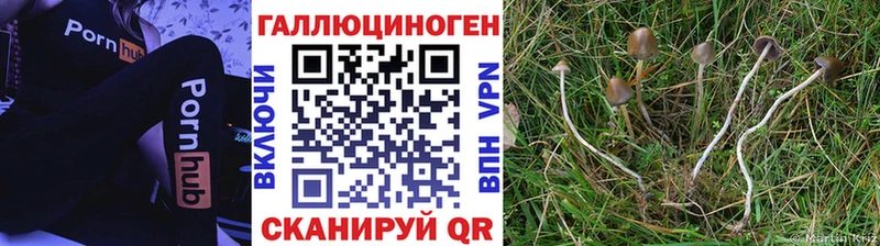 Галлюциногенные грибы MAGIC MUSHROOMS  Тейково 