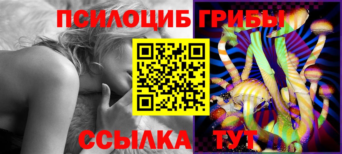 Тейково  где купить наркоту  Вход с VPN  Псилоцибиновые грибы Psilocybe 